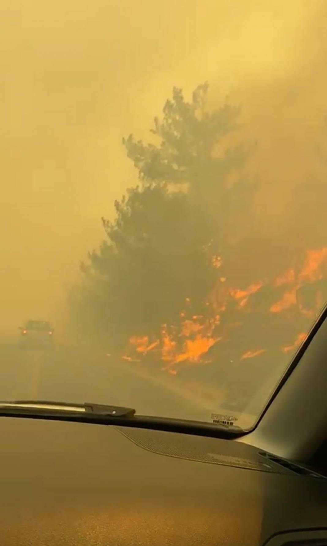 Milas'ta başladı, Bodrum'a sıçradı! 2 çıkarma gemisi bölgede 20